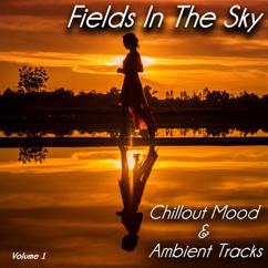 Various Artists: Fields in the Sky, Vol. 1 (Chillout Mood & Ambient Tracks)