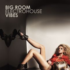 Various Artists: Big Room Electrohouse Vibes