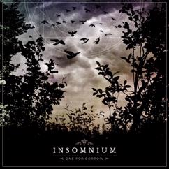 Insomnium: Through The Shadow