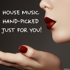 Various Artists: House Music Hand-Picked Just for You!