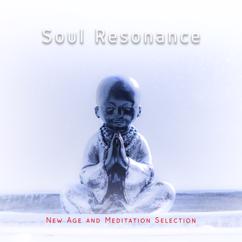 Various Artists: Soul Resonance