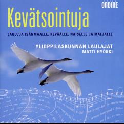 Oi kallis Suomenmaa (arr. H. Klemetti ... - YL Male Voice Choir -  Soittoääni  mp3 musiikkikauppa netissä