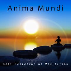 Various Artists: Anima Mundi