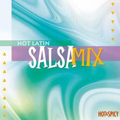 Los Maestros de la Salsa & Los Hijos de la Salsa: Hot Latin Salsa Mix
