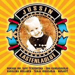 Mervi Pitkänen: Laulu Äidille