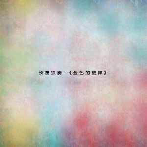 Various Artists: 長笛獨奏-《金色的旋律》