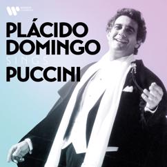 James Levine, Plácido Domingo, Renato Capecchi: Puccini: Tosca, Act 1: "Dammi i colori" - "Recondita armonia" (Cavaradossi, Sacristan)