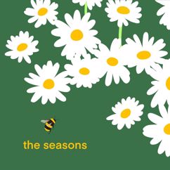 Joe Holt: The Seasons