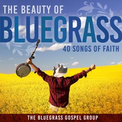 The Bluegrass Gospel Group: Wide Open
