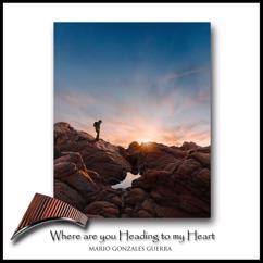 Mario Gonzales Guerra: Where are you Heading to my Heart