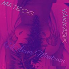 VAKKASIX & MATEO13: Hanna Montana