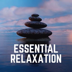Various Artists: Essential Relaxation
