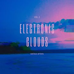 Various Artists: Electronic Clouds, Vol. 2
