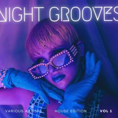 Various Artists: Night Grooves (House Edition), Vol. 1
