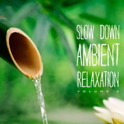 Various Artists: Slow Down Ambient Relaxation, Vol. 2