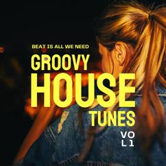 Various Artists: Beat Is All We Need (Groovy House Tunes), Vol. 1