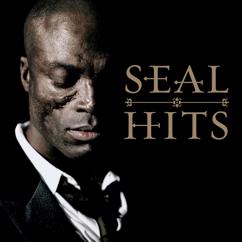 Seal: Hits