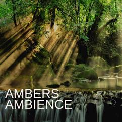Ambers Ambience: Nerve