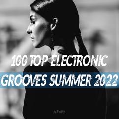 Various Artists: 100 Top Electronic Grooves Summer 2022