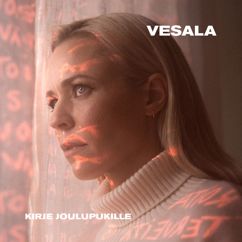 Vesala: Kirje joulupukille