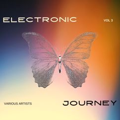Various Artists: Electronic Journey, Vol. 3