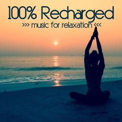 Various Artists: 100% Recharged