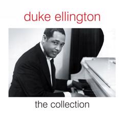 Duke Ellington: Stormy Weather