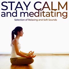 Various Artists: Stay Calm and Meditating (Selection of Relaxing and Soft Sounds)