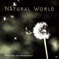 Various Artists: Natural World