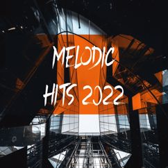 Various Artists: Melodic Hits 2022