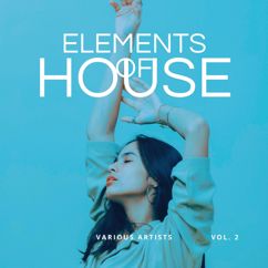 Various Artists: Elements of House, Vol. 2