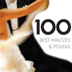 Various Artists: 100 Best Waltzes & Polkas