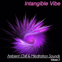 Various Artists: Intangible Vibe, Vol. 2 (Ambient Chill & Meditation Sounds)