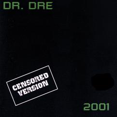 Dr. Dre, Snoop Dogg: Still D.R.E.