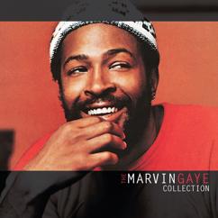 Marvin Gaye: The Marvin Gaye Collection