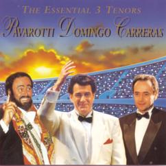 Various Artists: The Essential 3 Tenors: Pavarotti, Domingo, Carreras