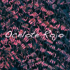 Ocelote Rojo: Nostalgia
