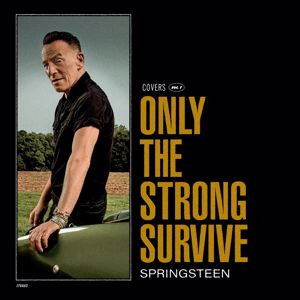 Bruce Springsteen: What Becomes of the Brokenhearted