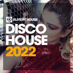 Various Artists: Disco House 2022