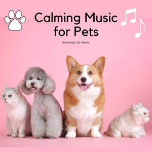 Soothing Cat Music: Calming Music for Pets