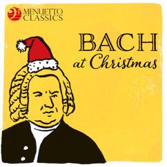 Various Artists: Bach at Christmas