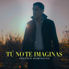 Gustavo Dominguez: Tú No Te Imaginas