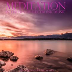 Various Artists: Meditation in the Era of Electronic Music (Selection of Sound Waves)