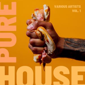 Various Artists: Pure House, Vol. 1