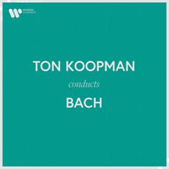 Ton Koopman: Bach, JS: Violin Concerto No. 2 in E Major, BWV 1042: I. Allegro