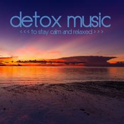 Various Artists: Detox Music