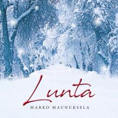 Marko Maunuksela: Lunta
