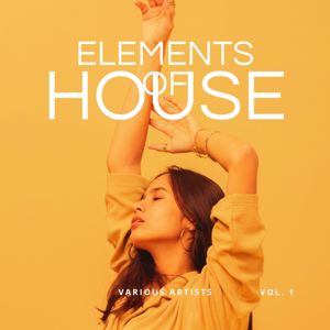 Various Artists: Elements of House, Vol. 1