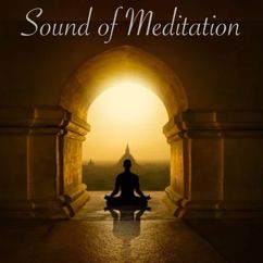 Various Artists: Sound of Meditation