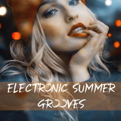 Various Artists: Electronic Summer Grooves